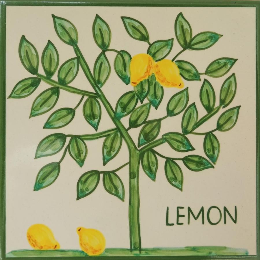 Casa Monte Cristo Apartments - Lemon Lagos Esterno foto